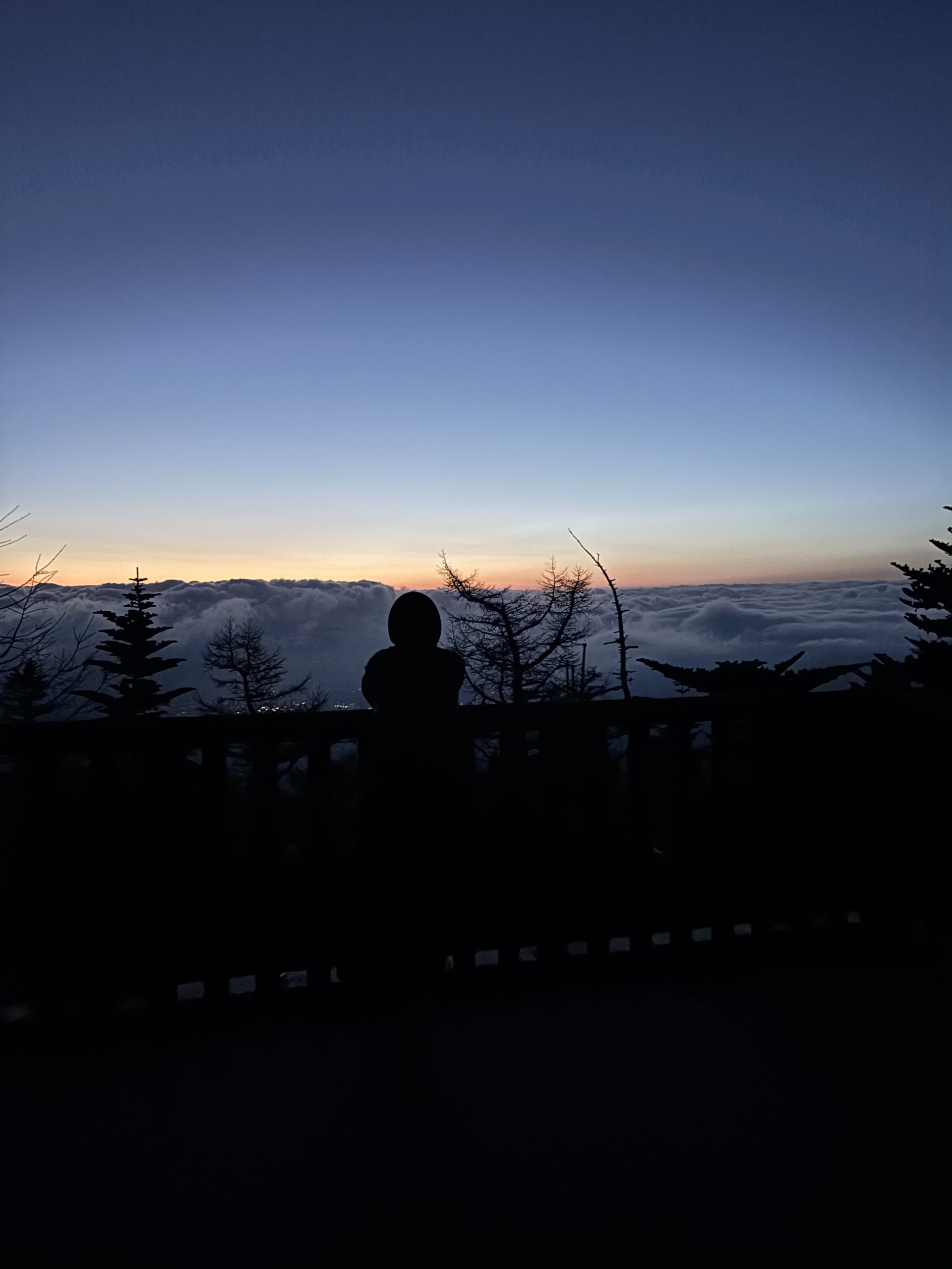 Patient mesmerized by the breathtaking view at Mt. Fuji